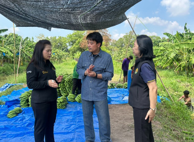 วันที่ 27 กุมภาพันธ์ 2569 นางสาวอภิวันท์ ธะนะสิทธิศักดิ์ ... พารามิเตอร์รูปภาพ 8