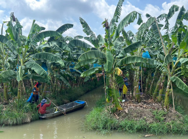 วันที่ 27 กุมภาพันธ์ 2569 นางสาวอภิวันท์ ธะนะสิทธิศักดิ์ ... พารามิเตอร์รูปภาพ 9