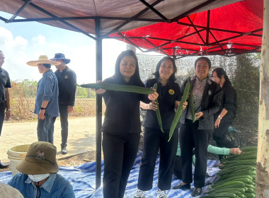 วันที่ 27 กุมภาพันธ์ 2569 นางสาวอภิวันท์ ธะนะสิทธิศักดิ์ ... พารามิเตอร์รูปภาพ 11