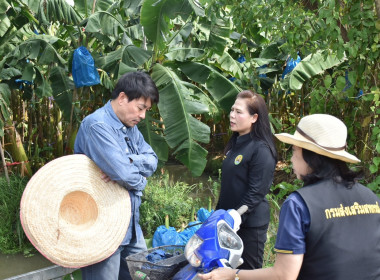วันที่ 27 กุมภาพันธ์ 2569 นางสาวอภิวันท์ ธะนะสิทธิศักดิ์ ... พารามิเตอร์รูปภาพ 14
