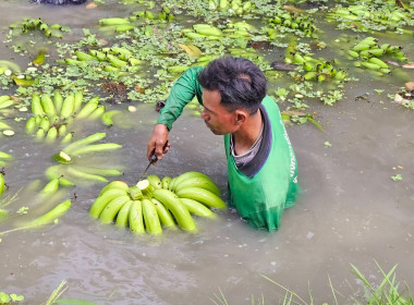 วันที่ 27 กุมภาพันธ์ 2569 นางสาวอภิวันท์ ธะนะสิทธิศักดิ์ ... พารามิเตอร์รูปภาพ 15