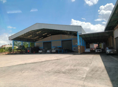 วันที่ 11 มีนาคม 2569 นายธนะวิทย์ ชูทอง ผู้ตรวจราชการกรม ... พารามิเตอร์รูปภาพ 8