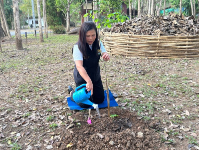 วันที่ 12 มีนาคม 2569 นางสาวอภิวันท์ ธะนะสิทธิศักดิ์ ... พารามิเตอร์รูปภาพ 1