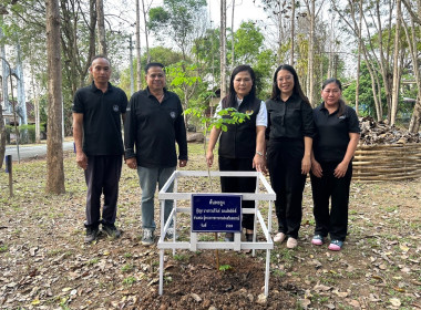 วันที่ 12 มีนาคม 2569 นางสาวอภิวันท์ ธะนะสิทธิศักดิ์ ... พารามิเตอร์รูปภาพ 6