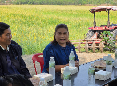 วันที่ 19 มีนาคม 2569 นายวงศ์ชัย ไชยโย ผู้ตรวจราชการกรม ... พารามิเตอร์รูปภาพ 3