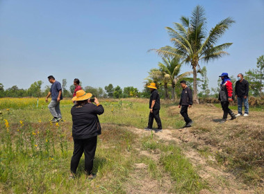 วันที่ 19 มีนาคม 2569 นายวงศ์ชัย ไชยโย ผู้ตรวจราชการกรม ... พารามิเตอร์รูปภาพ 9