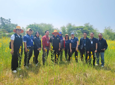 วันที่ 19 มีนาคม 2569 นายวงศ์ชัย ไชยโย ผู้ตรวจราชการกรม ... พารามิเตอร์รูปภาพ 10