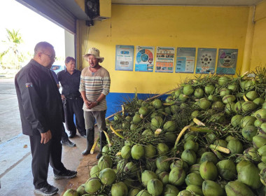 วันที่ 19 มีนาคม 2569 นายวงศ์ชัย ไชยโย ผู้ตรวจราชการกรม ... พารามิเตอร์รูปภาพ 1