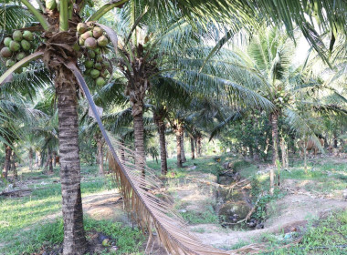 วันที่ 19 มีนาคม 2569 นายวงศ์ชัย ไชยโย ผู้ตรวจราชการกรม ... พารามิเตอร์รูปภาพ 8