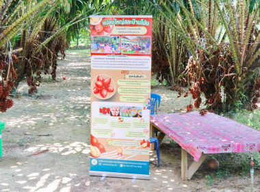 วันที่ 3 เมษายน 2569 นายวงศ์ชัย ไชยโย ผู้ตรวจราชการกรม ... พารามิเตอร์รูปภาพ 22