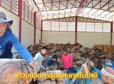 วันที่ 26 พฤษภาคม 2569 นายมาโนช ชลอวงษ์ ผู้ตรวจราชการกรม ... พารามิเตอร์รูปภาพ 14