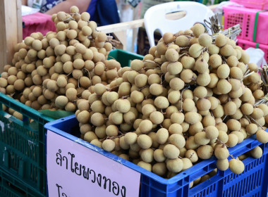 วันที่ 27 กรกฎาคม 2569 นายคีตวุฒิ นับเเสง ผู้ตรวจราชการกรม ... พารามิเตอร์รูปภาพ 16