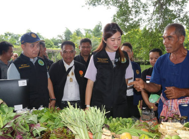 วันที่ 2 สิงหาคม 2569 นายธนะวิทย์ ชูทอง ผู้ตรวจราชการกรม ... พารามิเตอร์รูปภาพ 16
