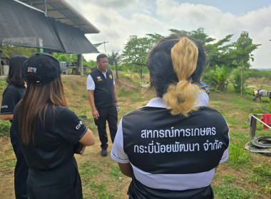 วันที่ 3 สิงหาคม 2569 นายธนะวิทย์ ชูทอง ผู้ตรวจราชการกรม ... พารามิเตอร์รูปภาพ 5