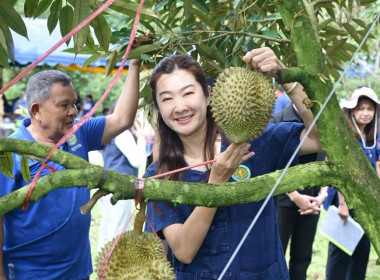 วันที่ 9 สิงหาคม 2569 นายคีตวุฒิ นับแสง ผู้ตรวจราชการกรม ... พารามิเตอร์รูปภาพ 6