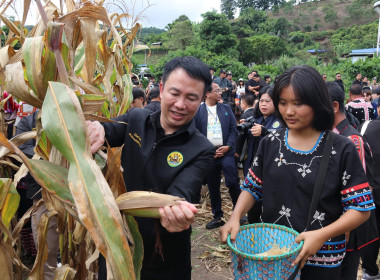 วันที่ 29 สิงหาคม 2569 นายคีตวุฒิ นับแสง ผู้ตรวจราชการกรม ... พารามิเตอร์รูปภาพ 8
