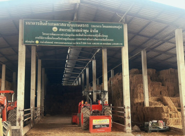 วันที่ 30 สิงหาคม 2569 นางสาวอภิวันท์ ธะนะสิทธิศักดิ์ ... พารามิเตอร์รูปภาพ 8