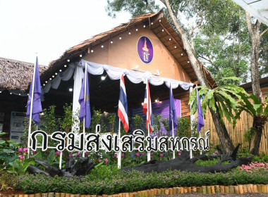 วันที่ 17 กันยายน 2569 นายธนะวิทย์ ชูทอง ผู้ตรวจราชการกรม ... พารามิเตอร์รูปภาพ 8