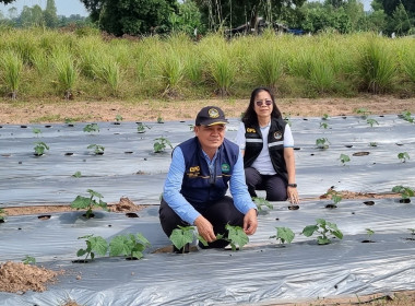 วันพุธที่ 18 ตุลาคม 2566 นายณัฐพล แป้นนอก ผู้ตรวจราชการกรม ... พารามิเตอร์รูปภาพ 7