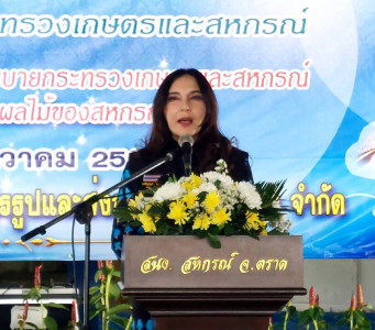 นางสาวมนัญญา ไทยเศรษฐ์ ลงพื้นที่ตรวจราชการตามนโยบาย ... พารามิเตอร์รูปภาพ 1